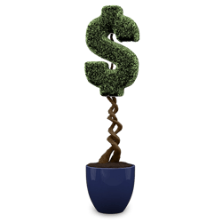 booster-invest-online-money-tree-new-zealand