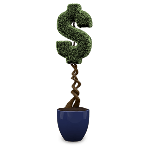 booster-invest-online-money-tree-new-zealand