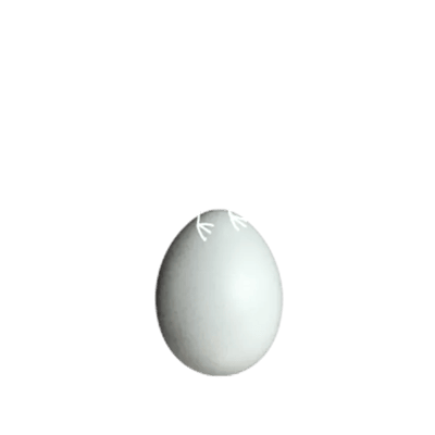 booster-kiwisaver-scheme-bird-and-egg-new-zealand