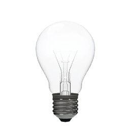 booster-lightbulb-new-zealand