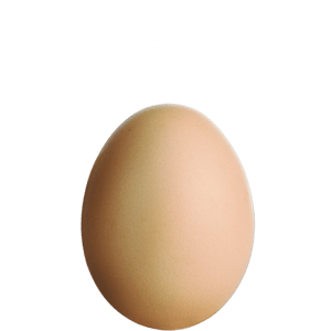 booster-socially-responsible-funds-egg-with-halo-new-zealand