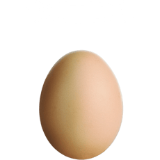 booster-socially-responsible-funds-egg-with-halo-new-zealand