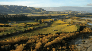 booster-innovation-plpf-fund-awatere-river-new-zealand
