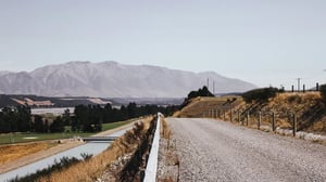 booster-innovation-tahi-fund-grasslands-new-zealand