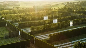 booster-innovation-tahi-fund-landscape-farms-new-zealand