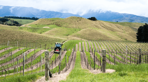 Booster Private Land and Property Fund investment in New Zealand Farms