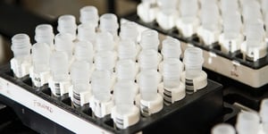 booster-blog-amaroq-therapeutics-cancer-drug-vials-new-zealand