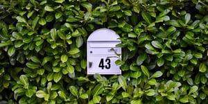 White letter box surrounded by new zealand shrubs