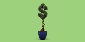 Dollar sign-shaped plant in a pot, symbolizing financial growth, on a green background.