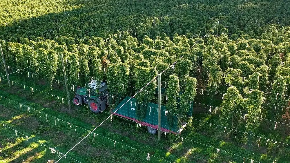 waimea-west-hops-booster-innovation-fund-landscape