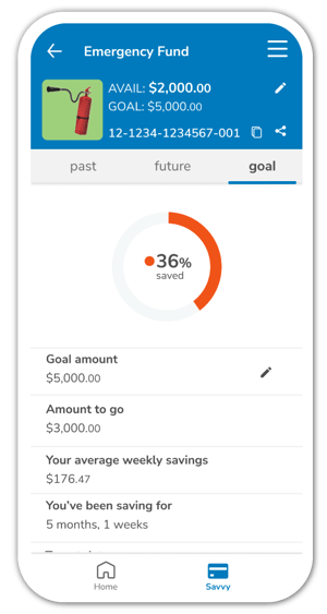 Savvy-emergency-fund-goal-app
