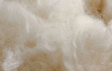woolchemy-new-zealand-bio-wool