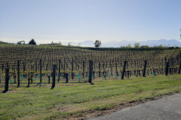 booster-members-day-gravity-winery-view
