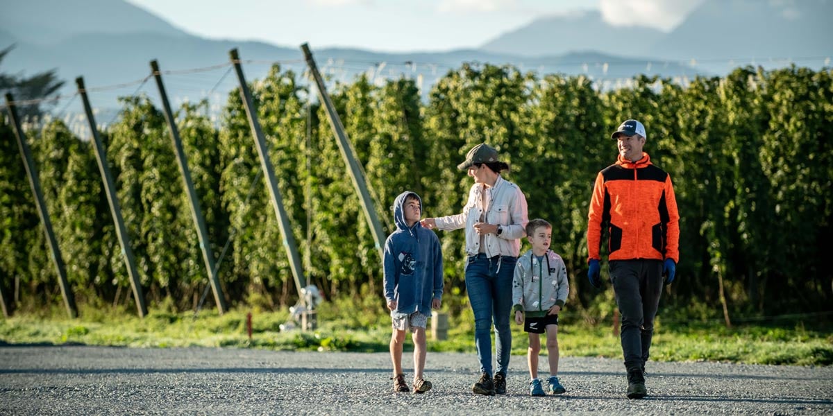 booster-innovation-fund-waimea-hops booster-innovation-fund-waimea-hops