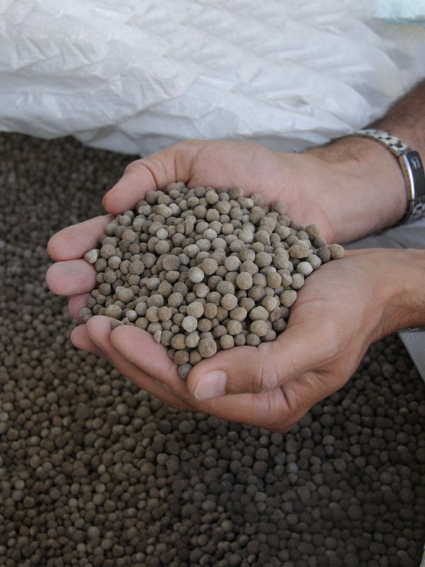 booster-innovation-fund-new-zealand-hot-lime-labs-pellets