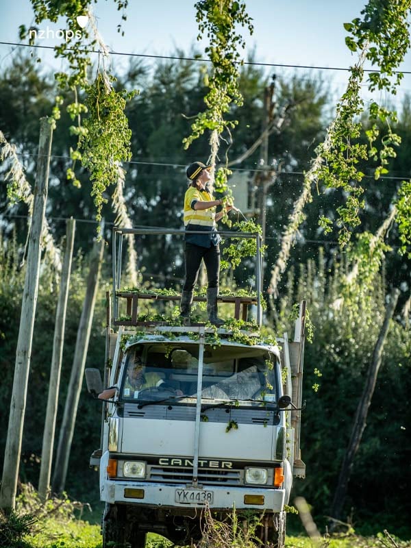 private-land-and-property-fund-new-zealand-waimea-west-hops-farming