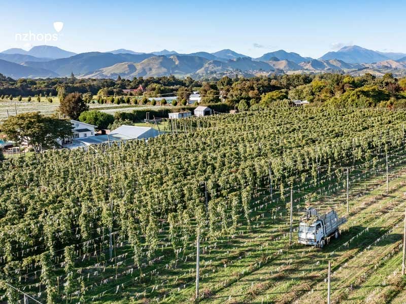private-land-and-property-fund-new-zealand-waimea-west-hops-view