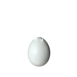 booster-finance-kiwisaver-scheme-bird-and-egg