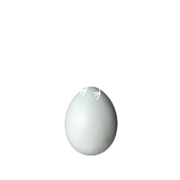 booster-finance-kiwisaver-scheme-bird-and-egg booster-finance-kiwisaver-scheme-bird-and-egg