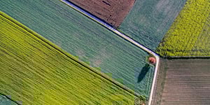 booster-blog-adding-diversification-fields-new-zealand