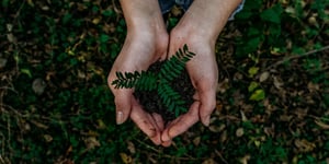 booster-blog-ethical-investing-seedlings-in-hand-new-zealand