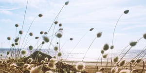 booster-blog-responsible-investing-toolkit-sand-dunes-new-zealand