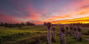 booster-blog-tahi-fund-mahana-estate-new-zealand