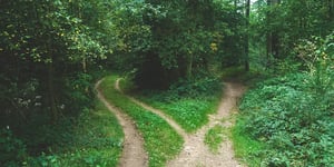booster-blog-term-deposits-and-interest-rates-forked-forest-path-new-zealand