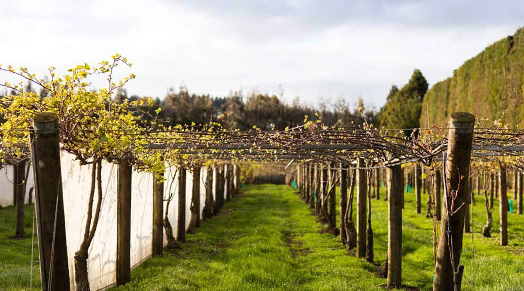 booster-private-land-and-property-fund-bay-of-plenty-new-zealand